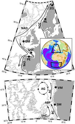 Tidal Dynamics Control on Cold-Water Coral Growth: A High-Resolution Multivariable Study on Eastern Atlantic Cold-Water Coral Sites